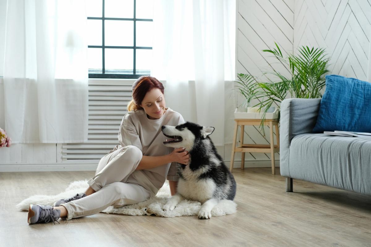 5 Types of Pets That Are Great for Apartment Living