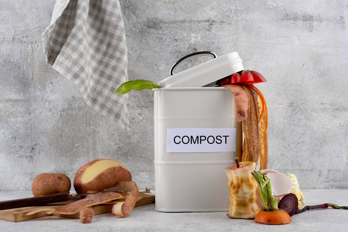 How to Start a Compost in Your Apartment