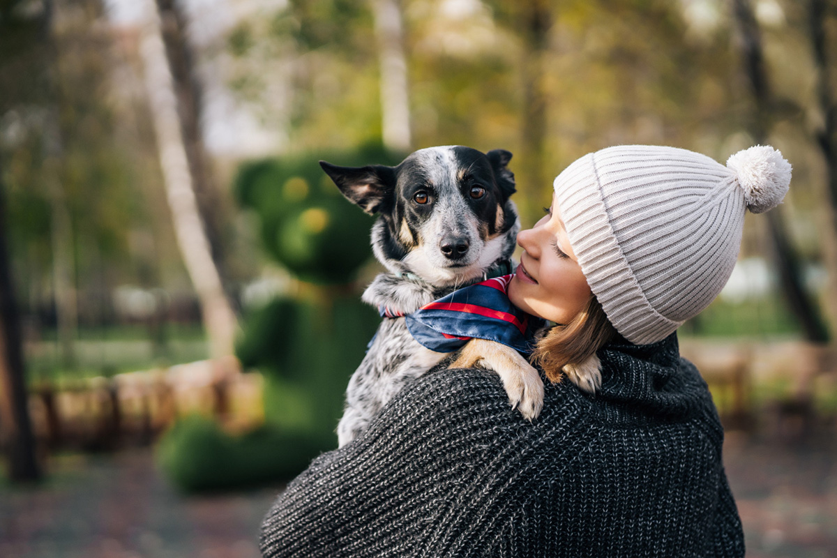 The Pros and Cons of Getting a Companion Animal