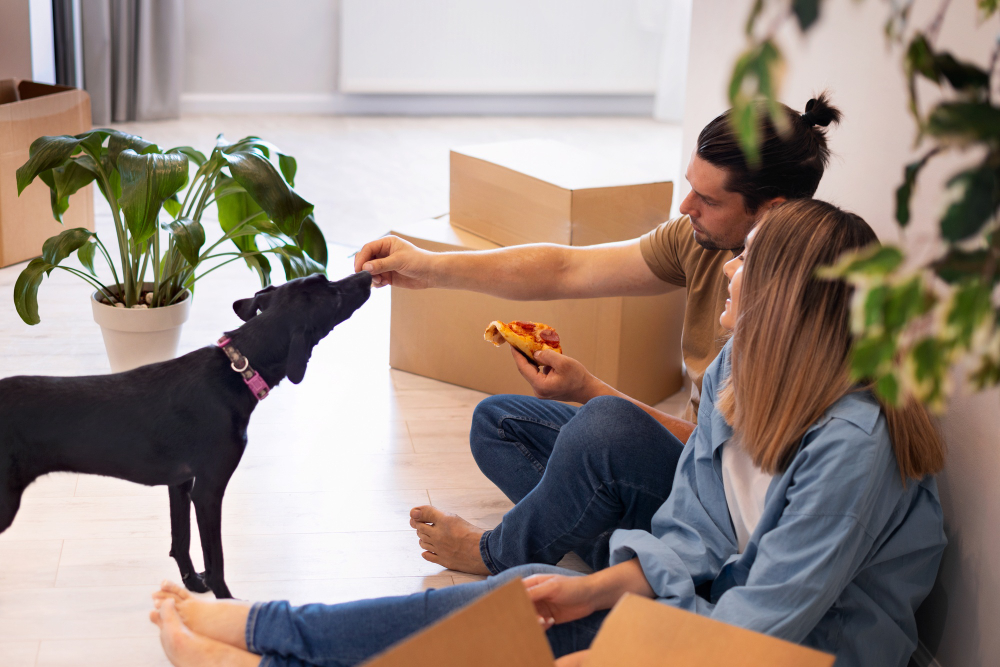 Tips to Successfully Move with Your Pet