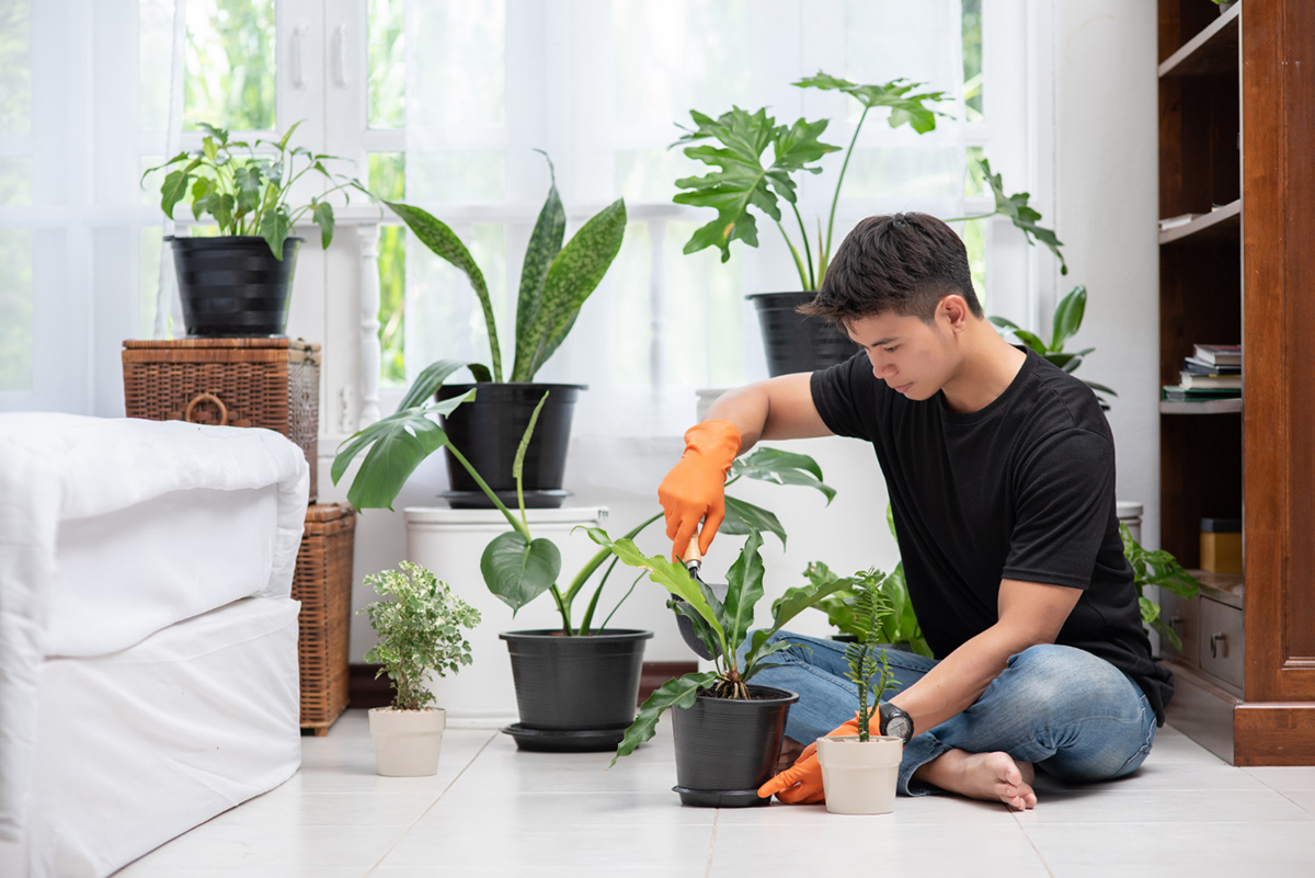 Apartment Gardening: Bringing the Outdoors In
