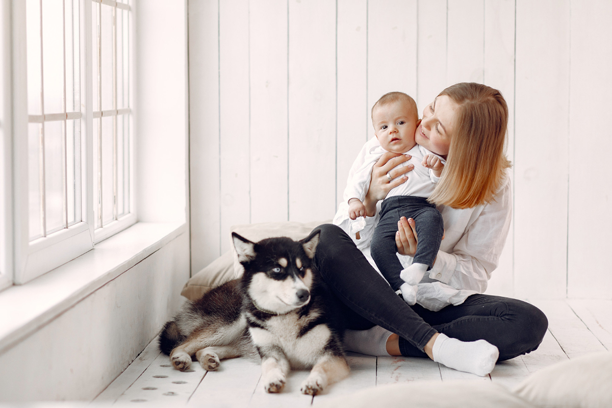 How to Keep Your Pet Clean and Safe When Introducing to Your New Baby