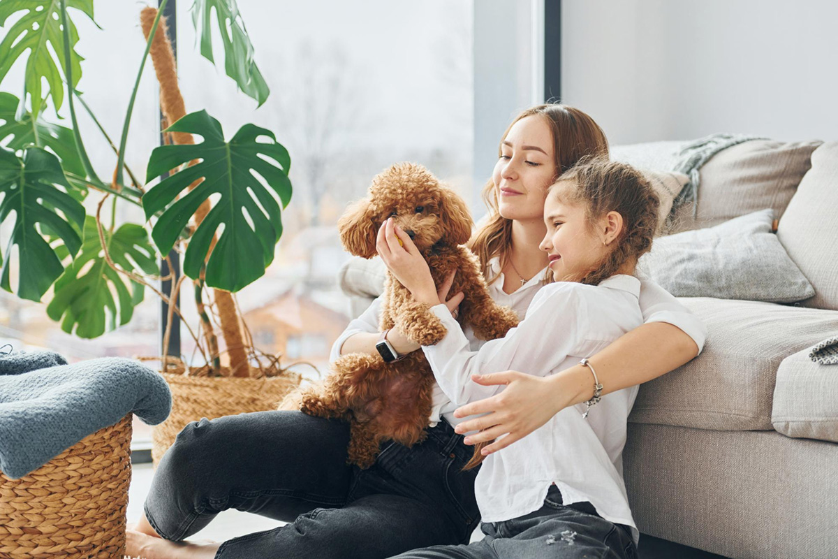 Tips for Finding Pet-Friendly Apartments