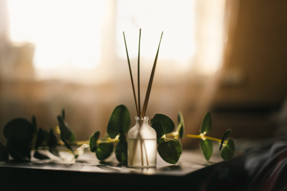 Tips to keep your apartment smelling good