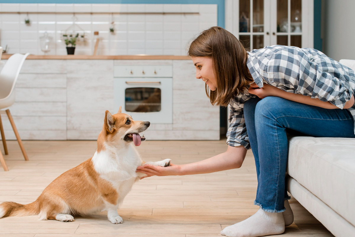 Easy Tips to Stop Your Dog from Barking in Your Apartment