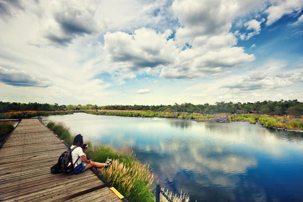 Top Local Spots in Wilmington, NC You Need to Visit