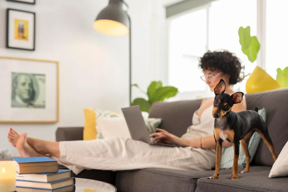 Pet-Friendly Apartments Wilson, North Carolina: A Renter's Guide